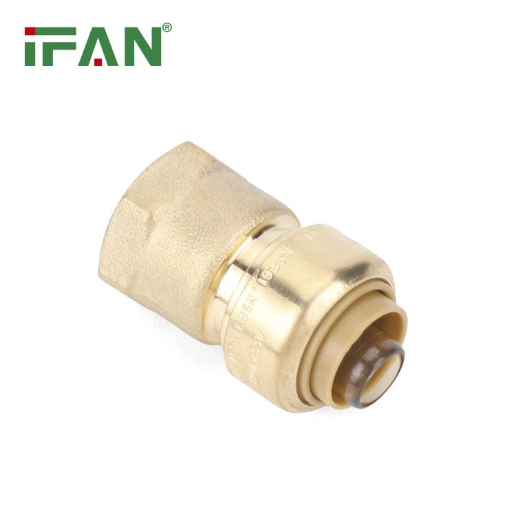 Acessórios de mordida de tubarão personalizados